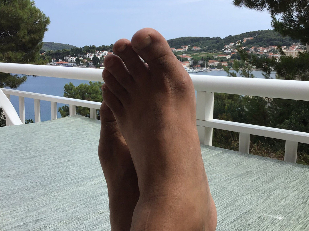 Guest House Bebic主图