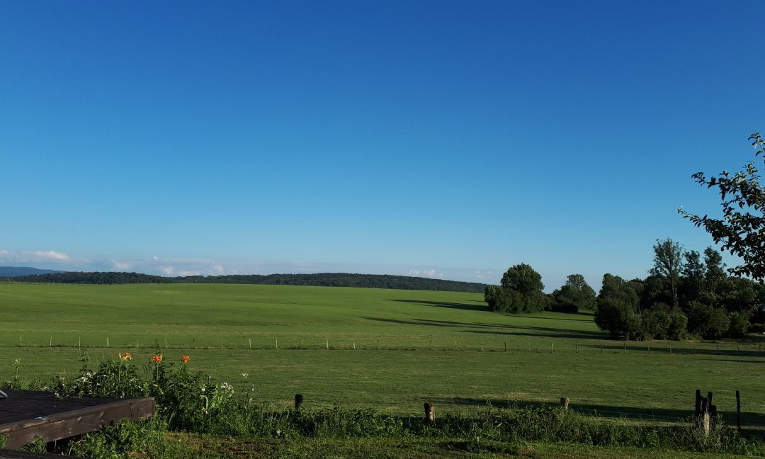 La Ferme du Bois Joli主图