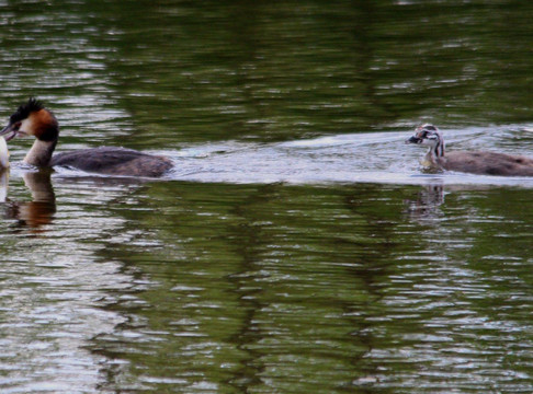 Marais du Grand Hazé-Briouze必去景点