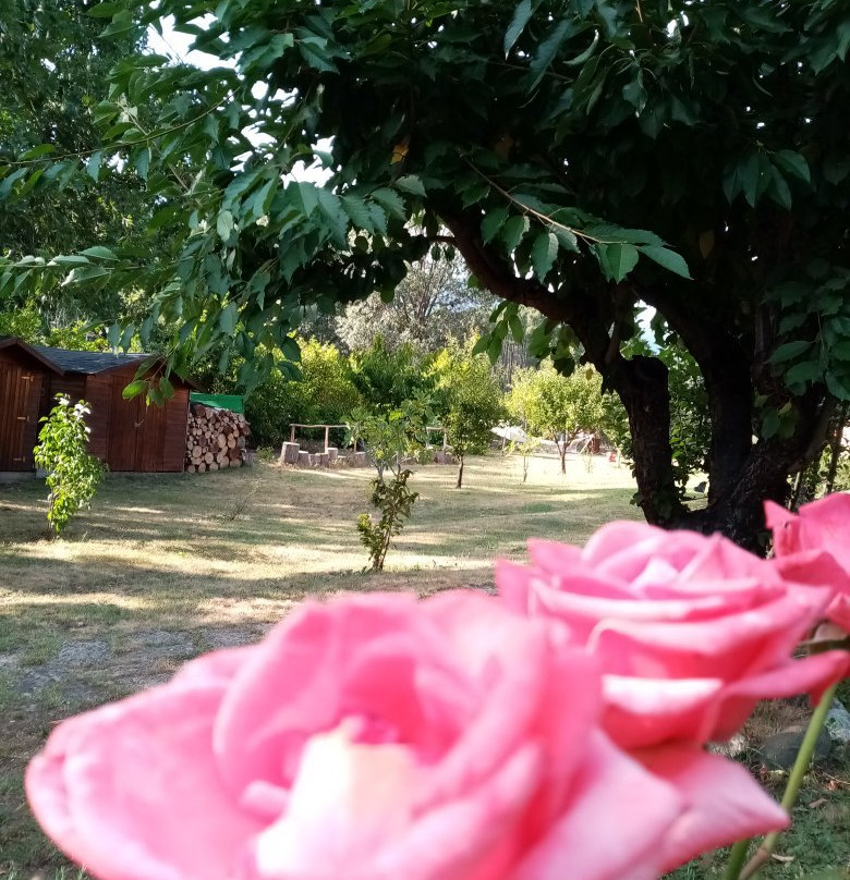 Casa Carmela - Rural Hotel主图