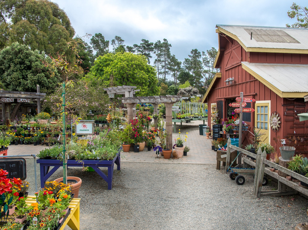 Cambria Nursery and Florist景点图片