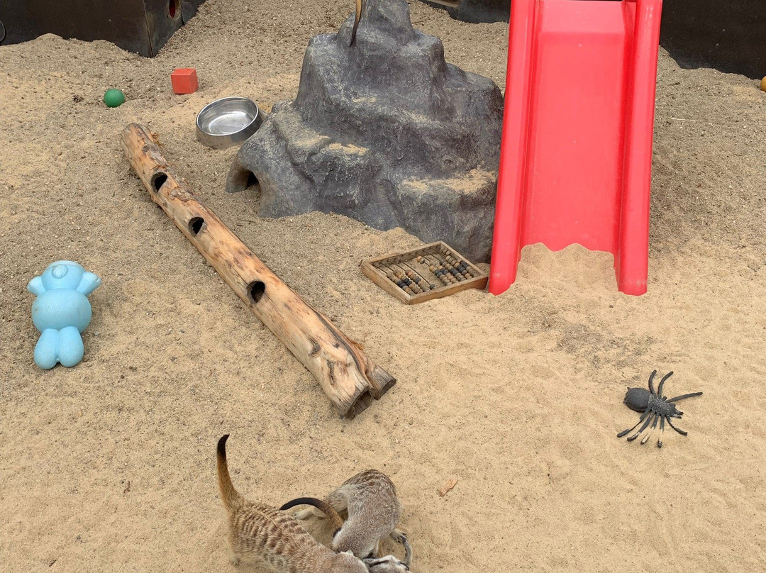 Chelyabinsk Zoo-车里雅宾斯克必去景点