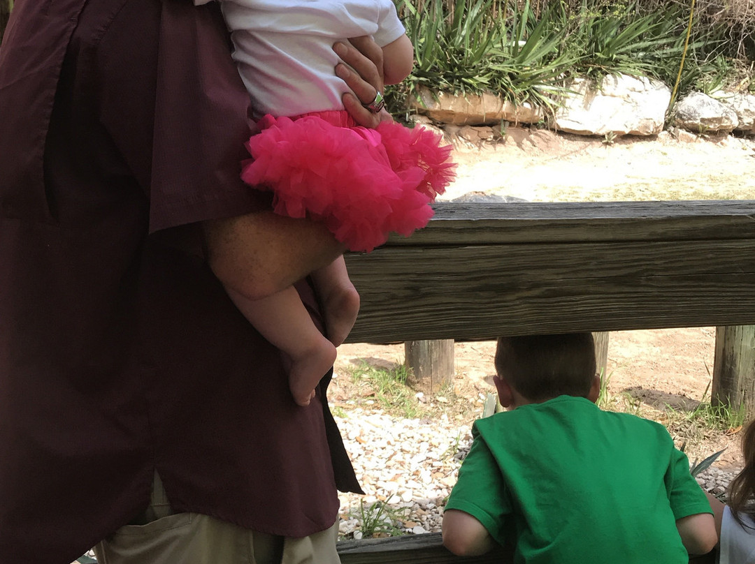 Cameron Park Zoo-韦科必去景点