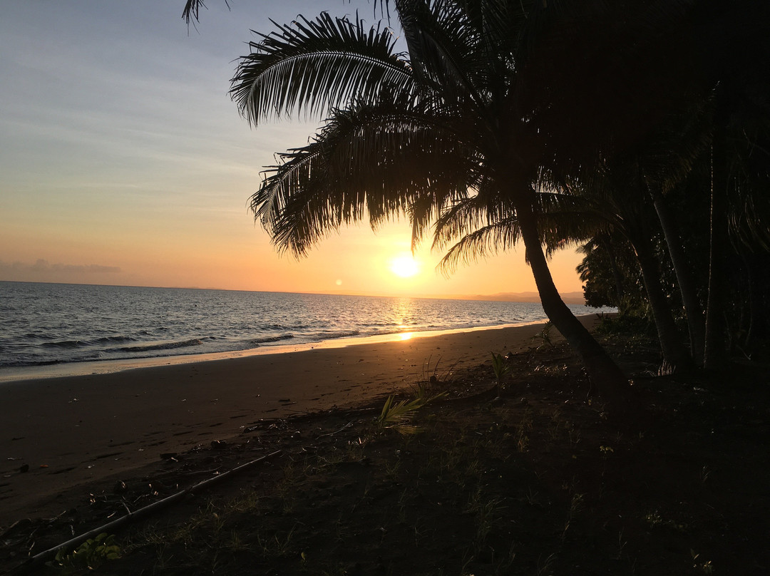 Beachside Paradise At Pure Shores Resort