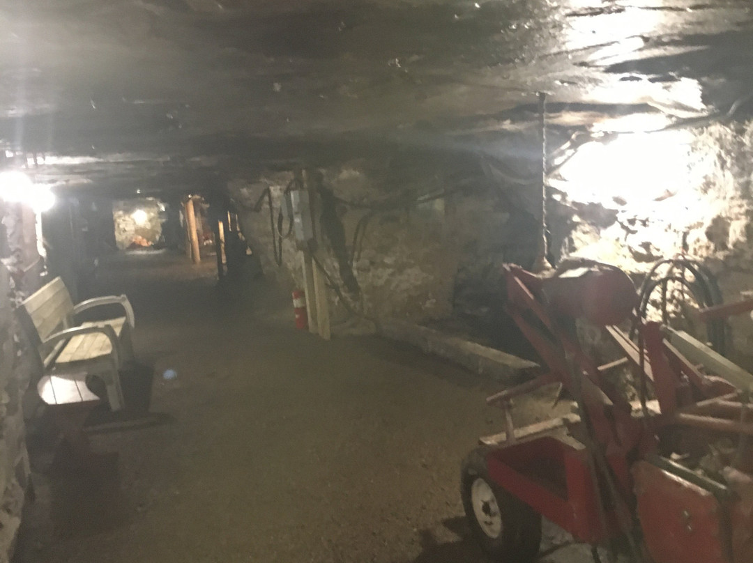 Tour-Ed Coal Mine景点图片