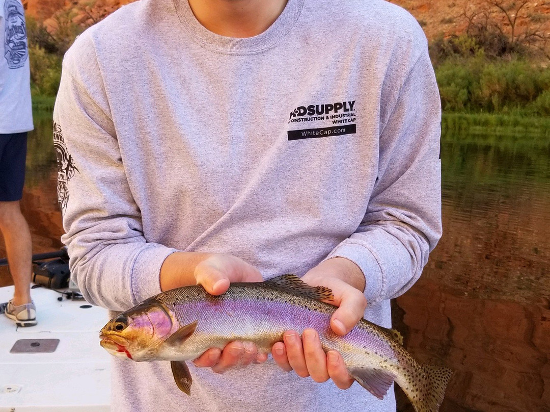 Marble Canyon Outfitters-佩吉必去景点