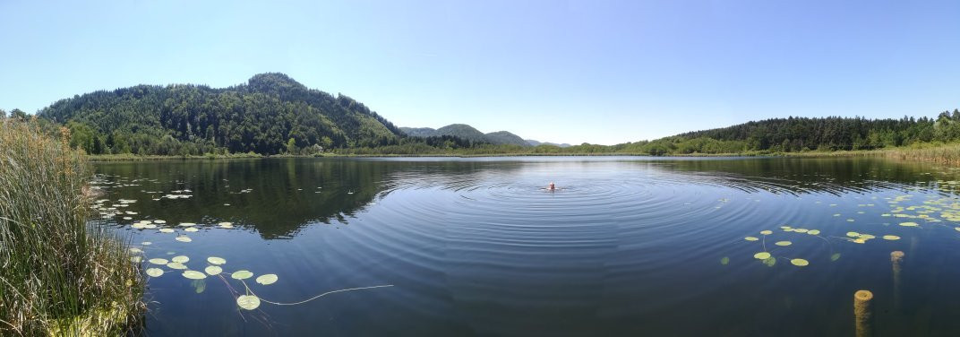 Golf-Tennis-Wellnesshotel Mori主图