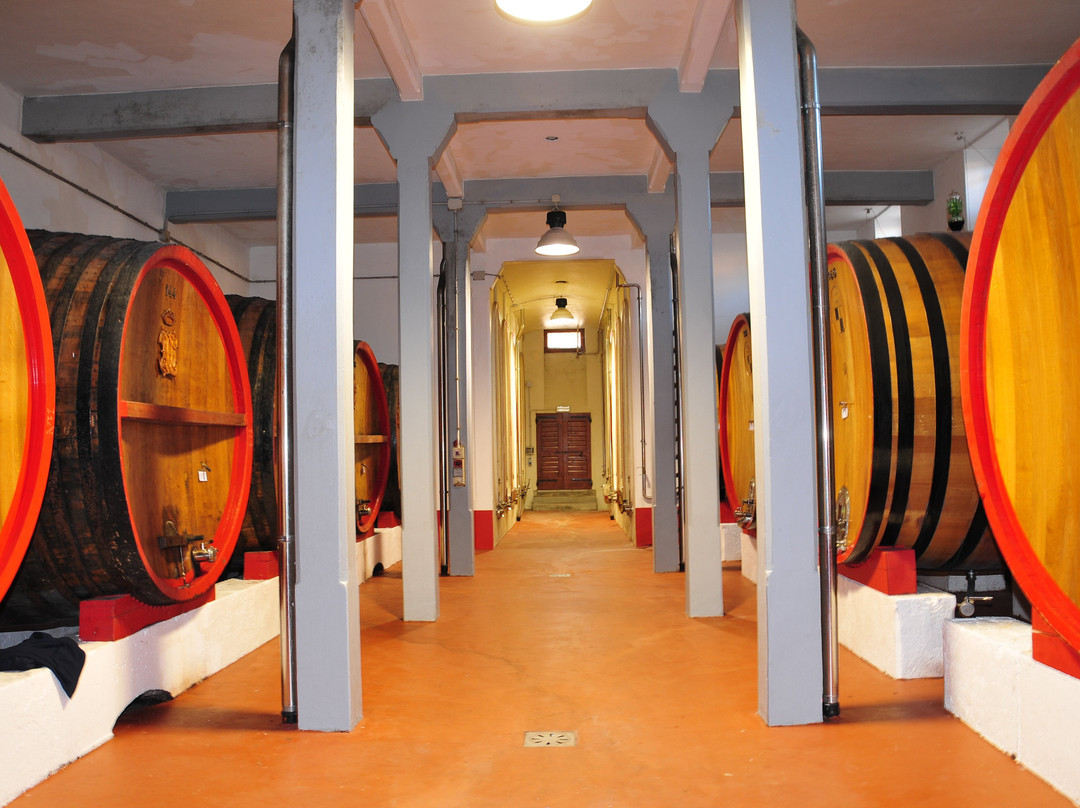 Azienda Agricola Conte Collalto-Susegana必去景点