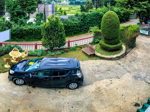 努沃勒埃利耶独树酒店主图