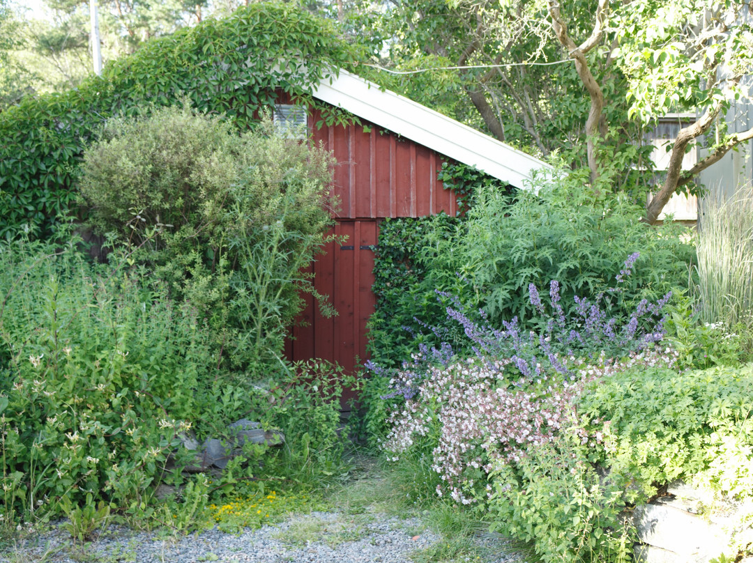 Zanzibar Bed and Breakfast主图