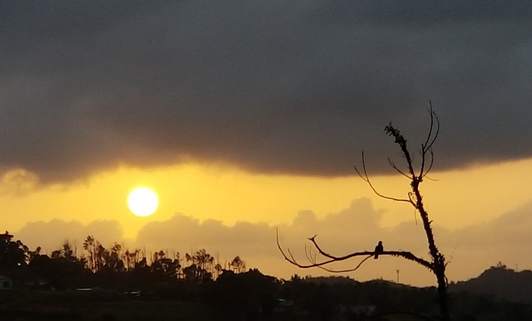 Centro Recreativo & Restaurante El Rancho-Corozal必去景点