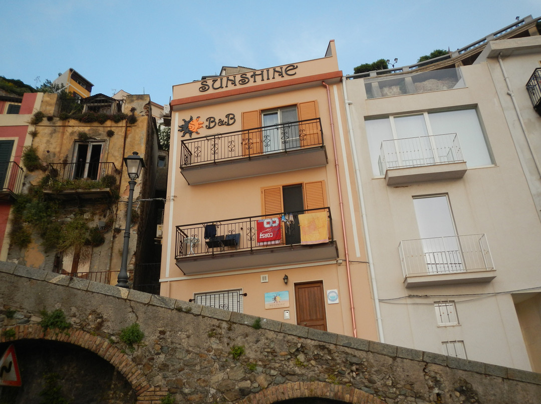 B&B Sunshine主图