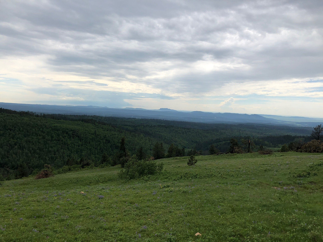 Cement Ridge Lookout-Sundance必去景点
