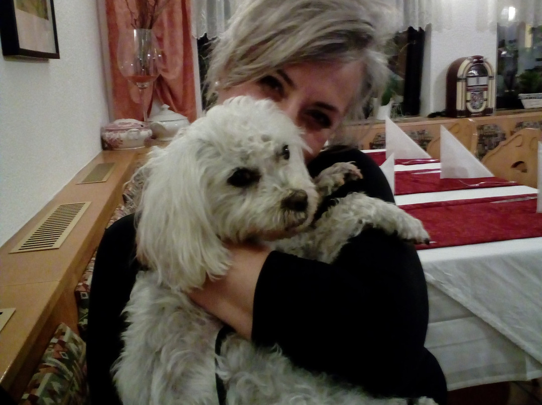 Hotel Garni Vulkanstuble主图