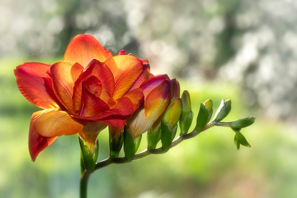 珊瑚巴格达酒店主图