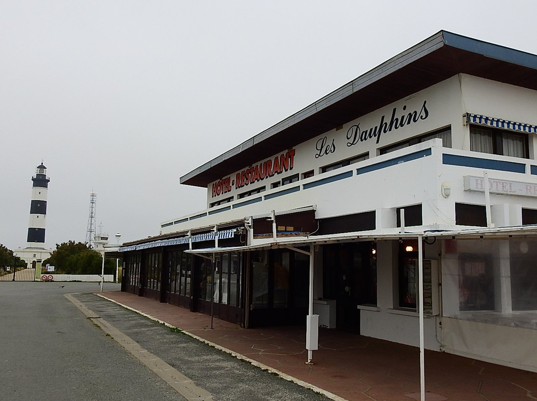 Les Dauphins