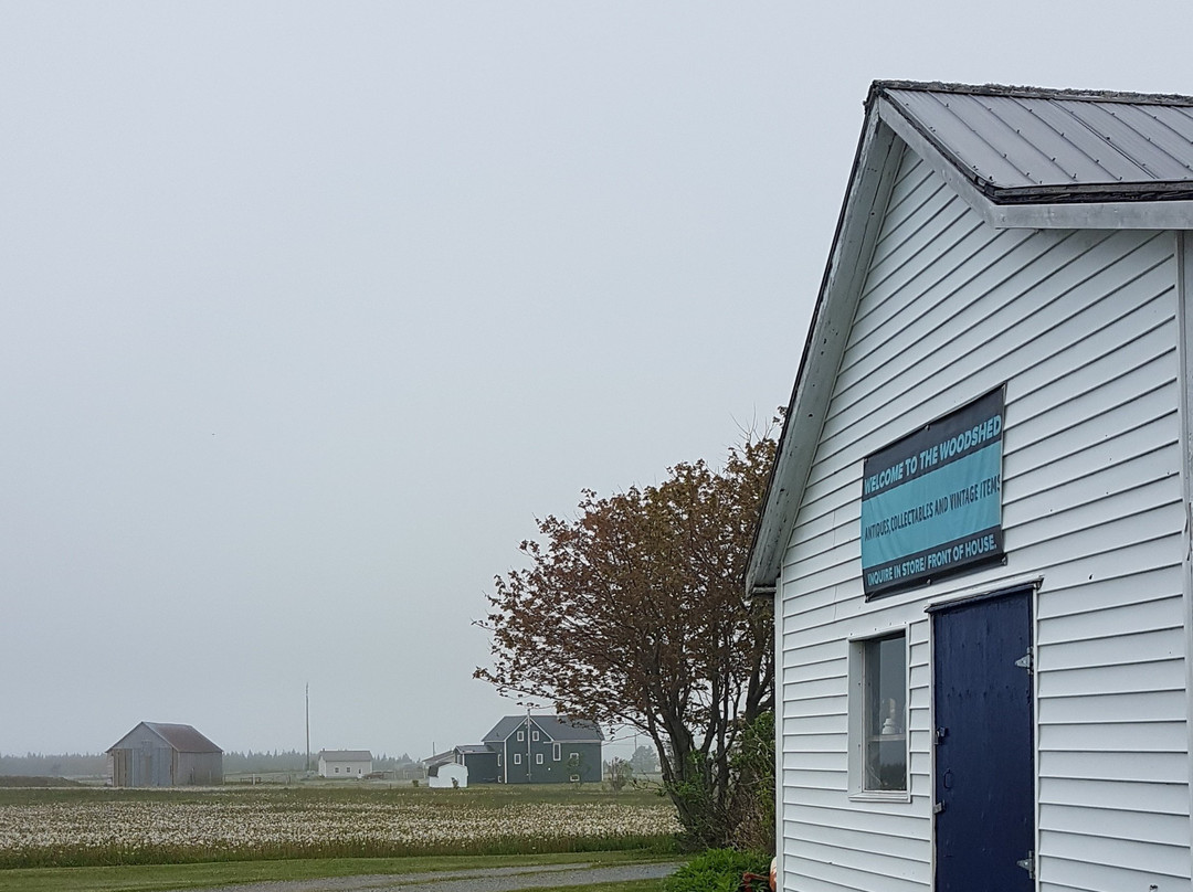 Moore's Specialties主图