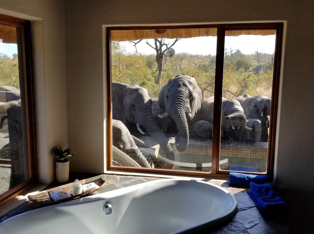 阿拉修萨野生动物园酒店主图