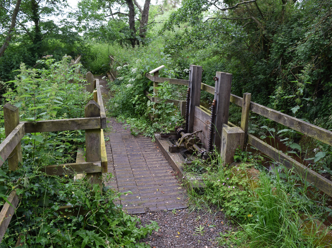 Clyston Mill-Broadclyst必去景点