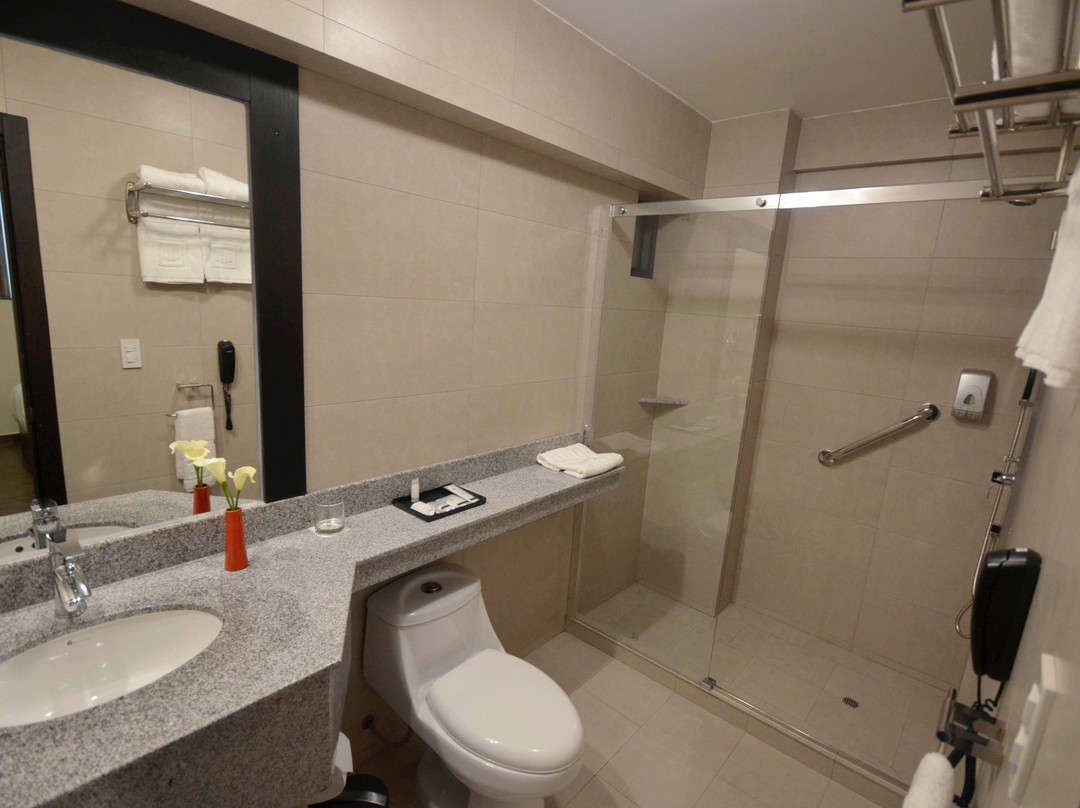 qp Hotels Trujillo主图