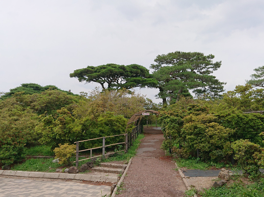 Tsutsujigaoka Park景点图片