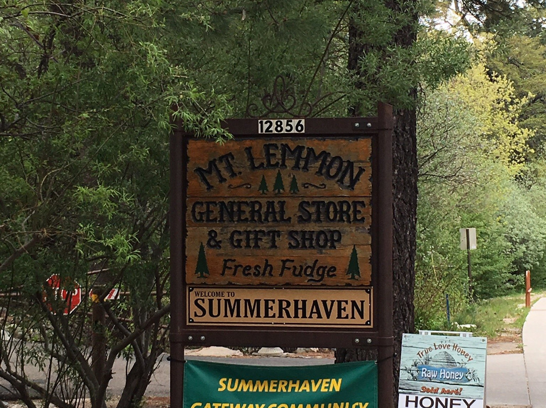 Mt Lemmon General Store景点图片