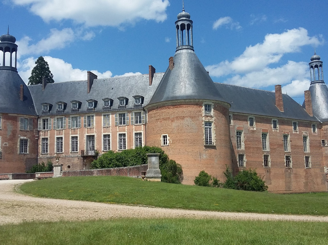 Chateau de Saint-Fargeau景点图片