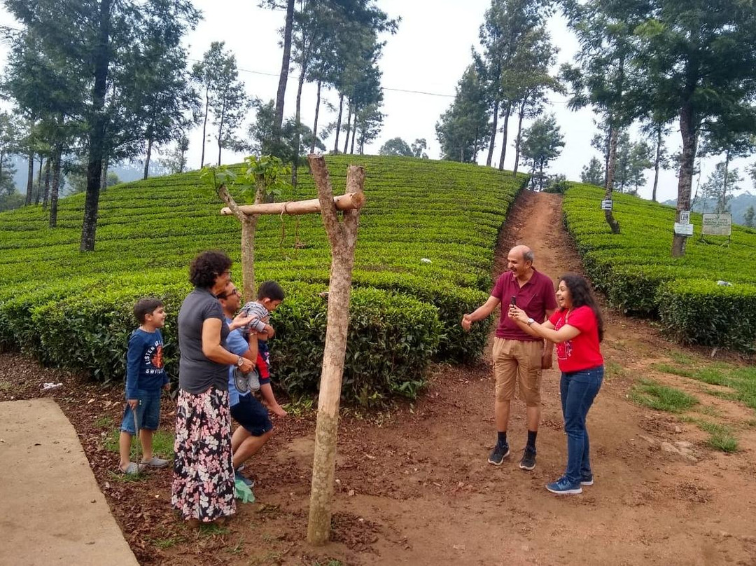 Only Organic-Devikulam必去景点