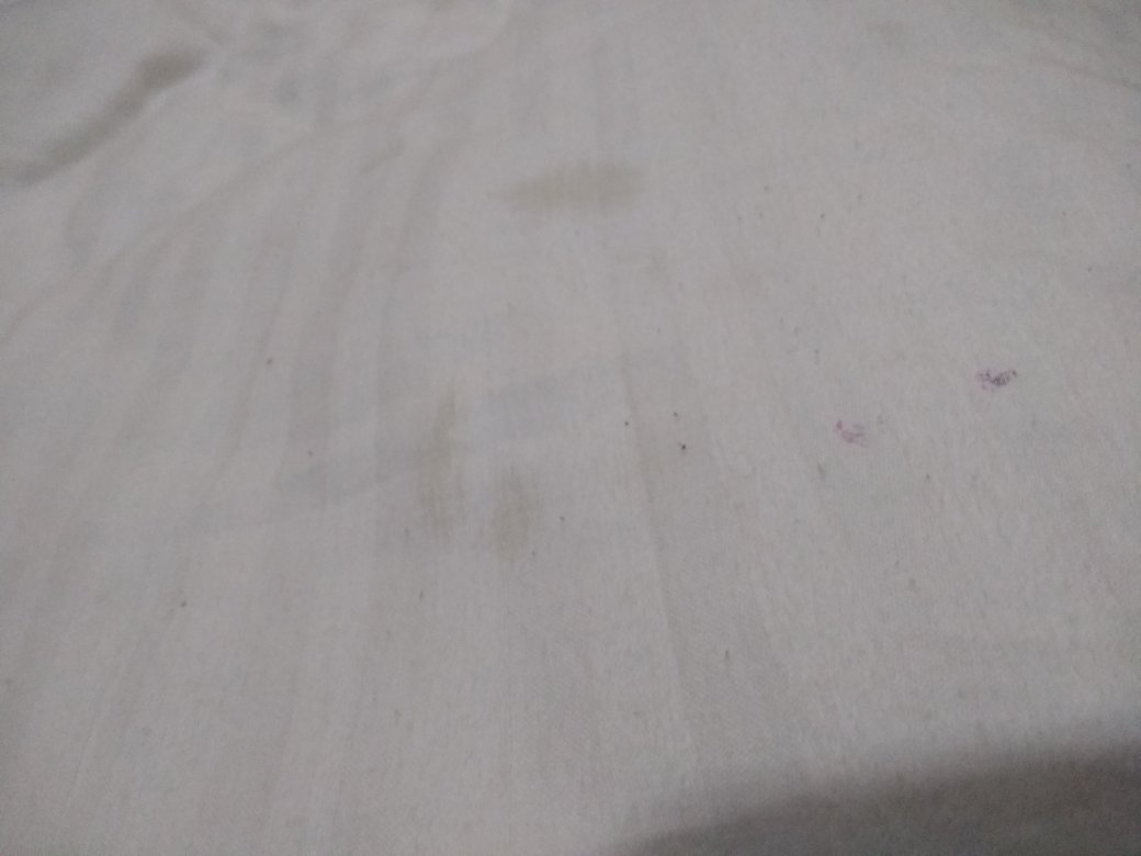 Hotel Royale Inn-官方