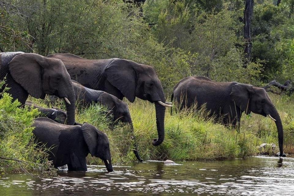 Marula Tours-开普敦中心区必去景点