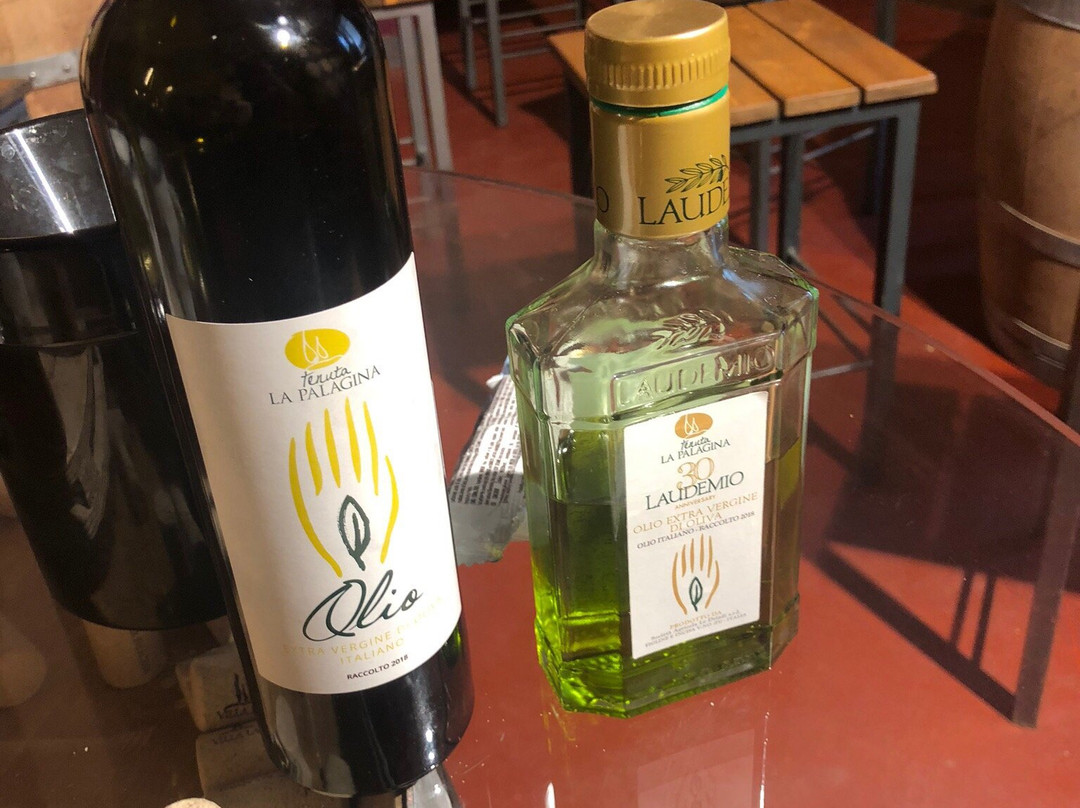 Off Road in Tuscany-格雷韦伊恩基亚恩蒂必去景点