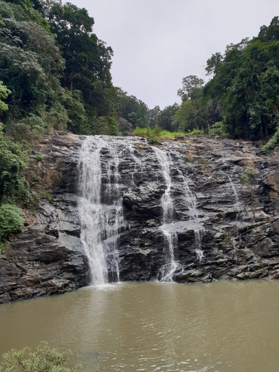卡西塔酒店-官方