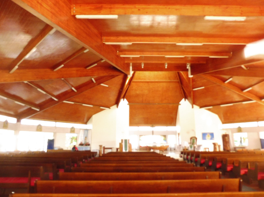 St Joseph's Cathedral-阿瓦鲁阿必去景点