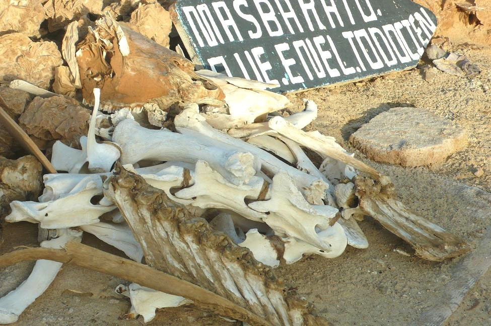 Silence Du Desert-杜兹必去景点