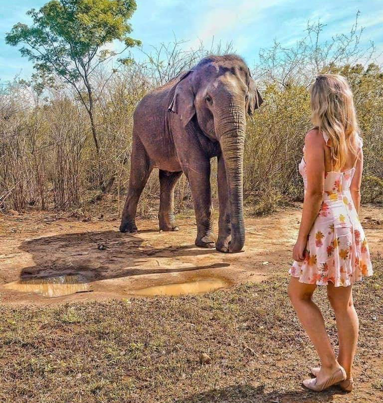 Sandu Tours-Waskaduwa必去景点