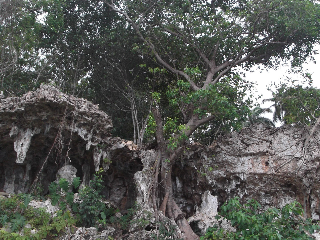 阿里杰罗德胡波尔德国家公园-古巴必去景点