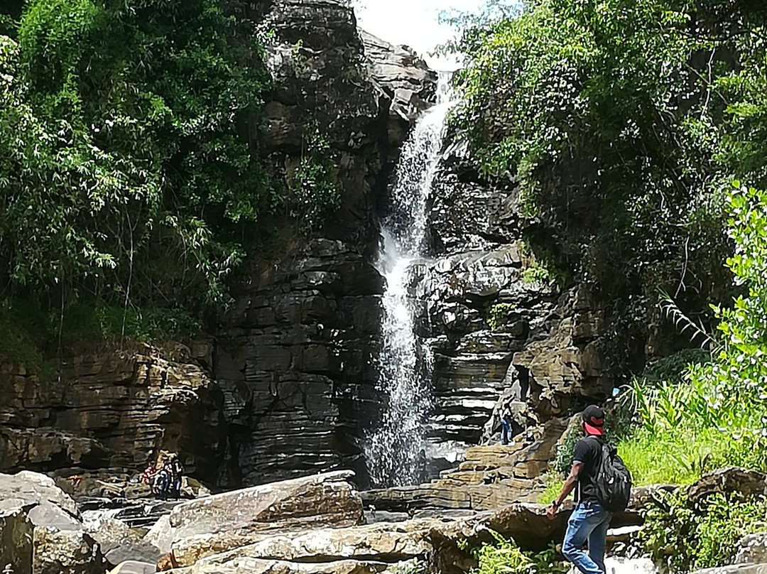 Kadiyanlena Falls景点图片