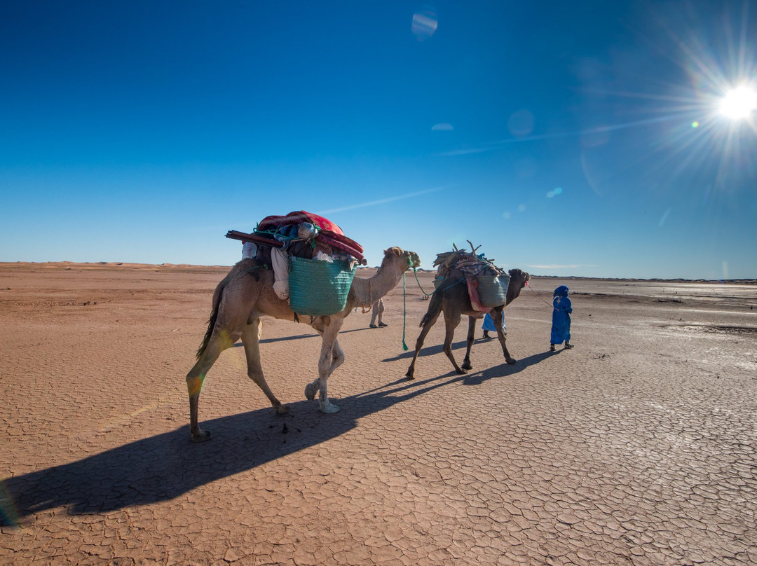 Bivouac  Mélodie du Desert主图