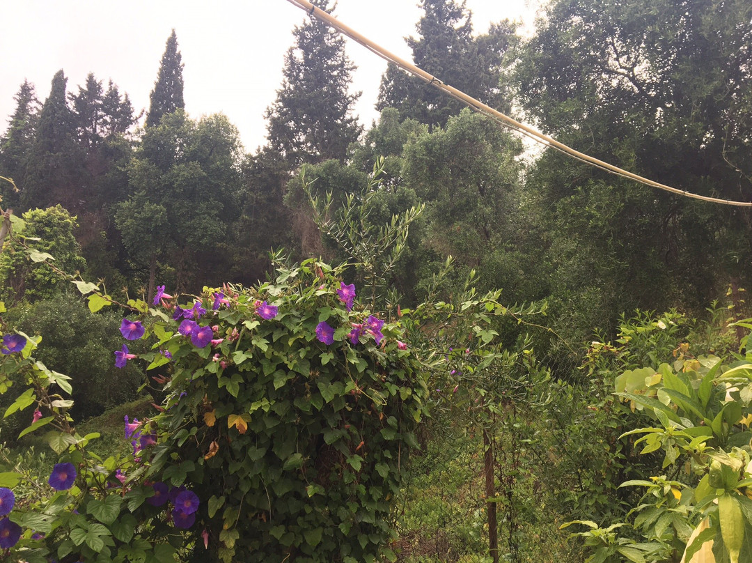 Keiser Bridge Hotel主图