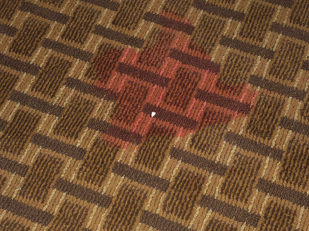 Spark By Hilton Brandon主图