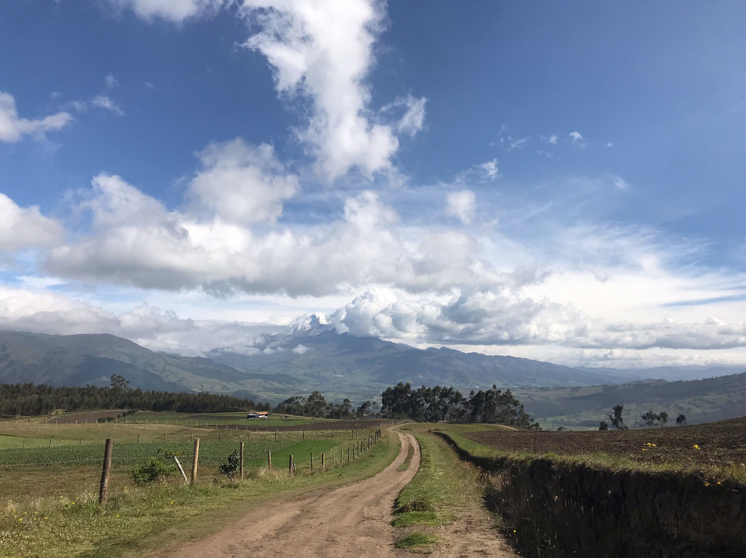 Volcan Cayambe-Cayambe必去景点