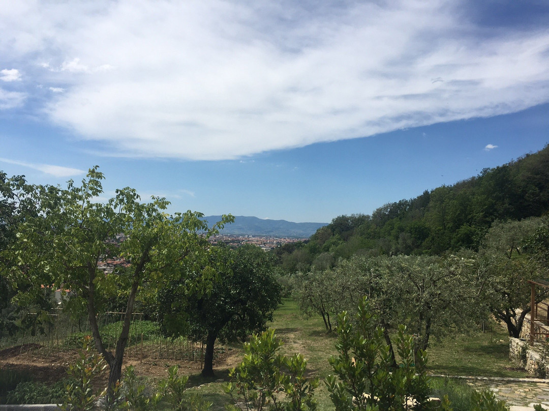 Podere La Contessa B&B主图