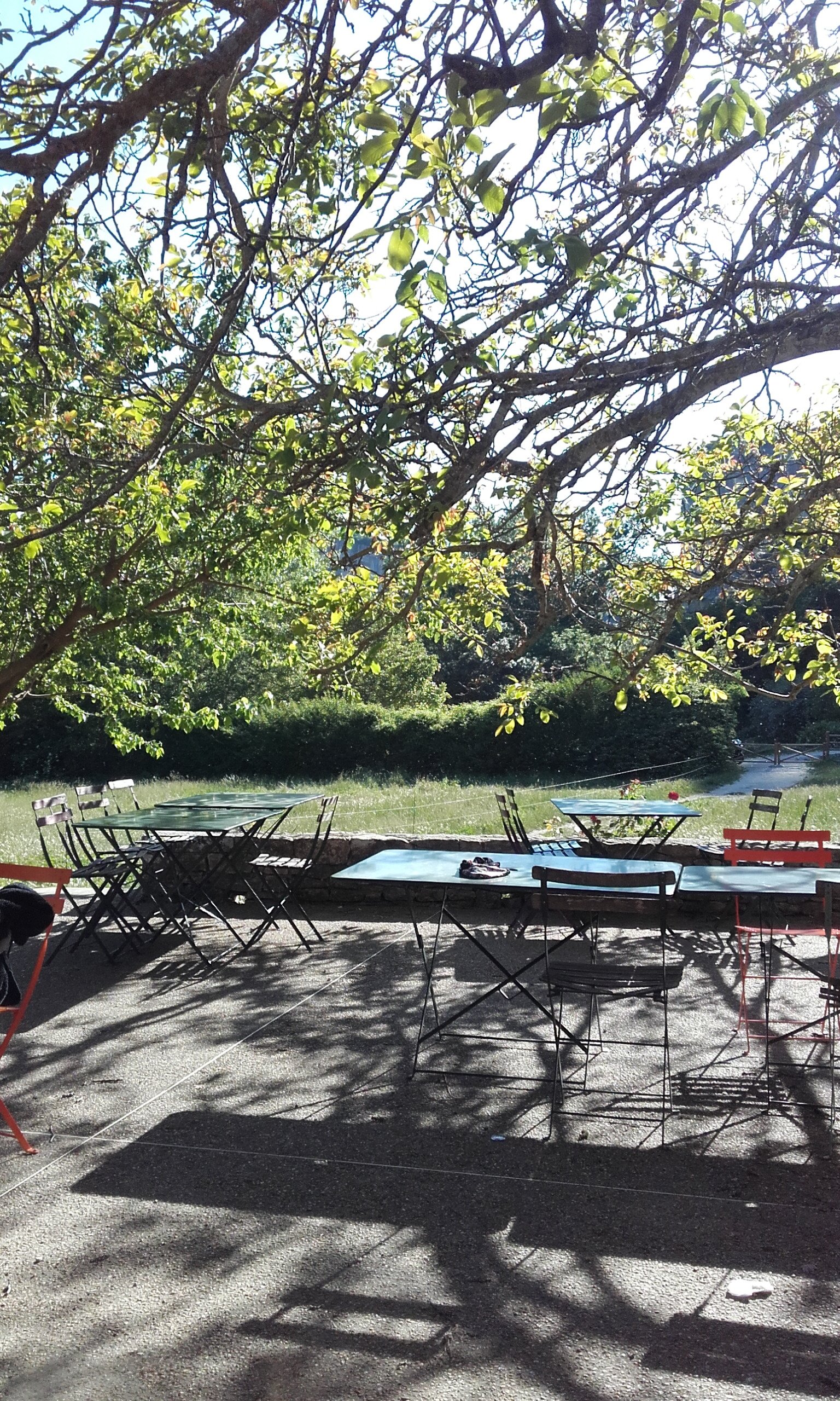 Auberge des Seguins-餐饮