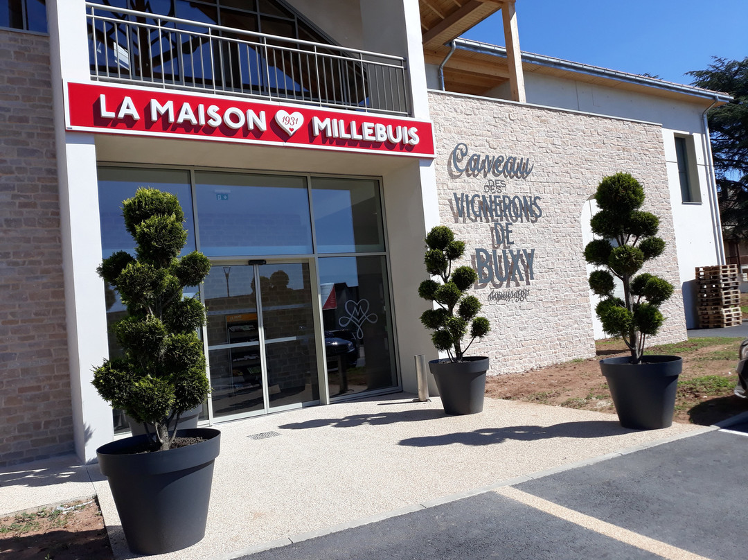 Millebuis Par Les Vignerons De Buxy景点图片
