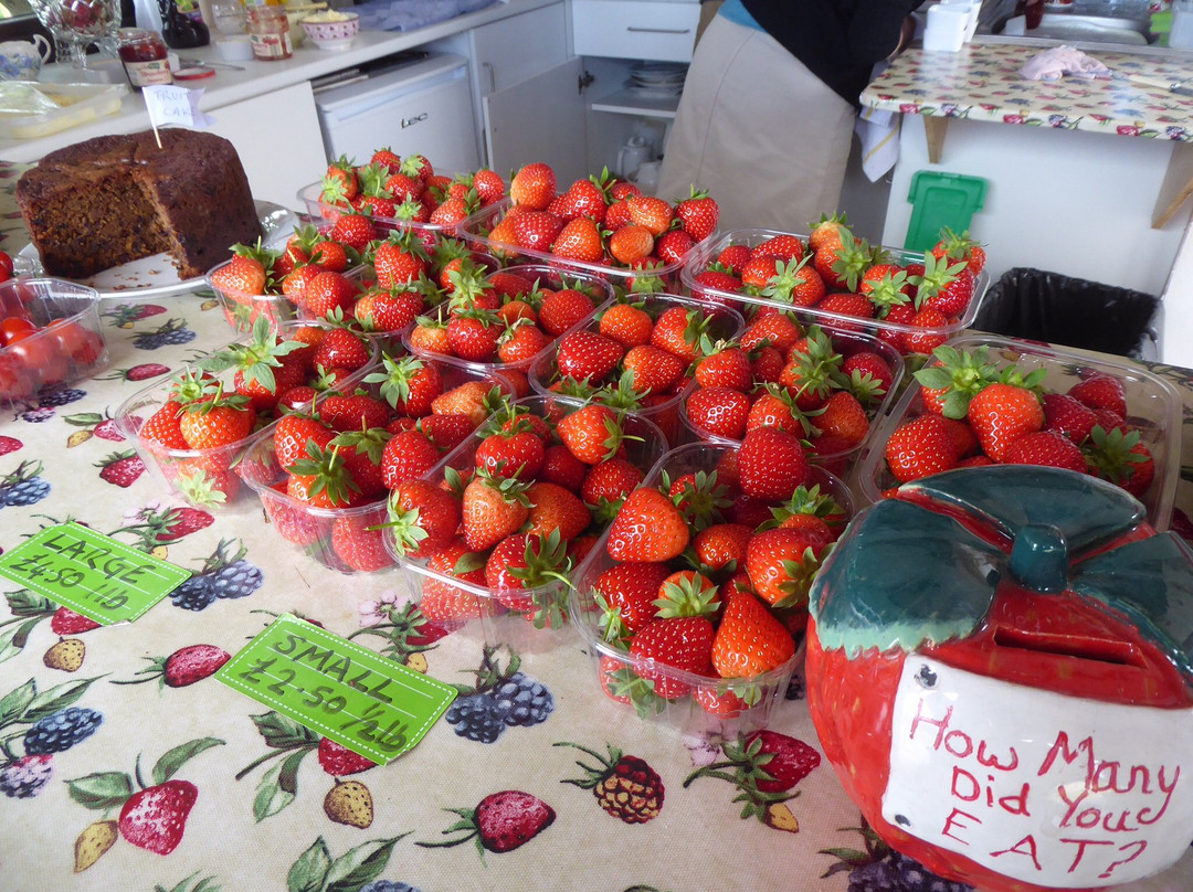 Goodall's Strawberry Farm景点图片