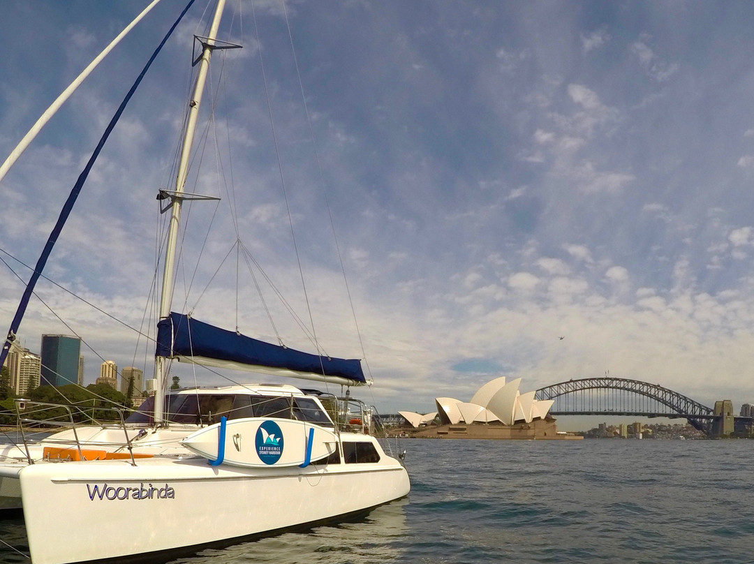 Experience Sydney Harbour景点图片