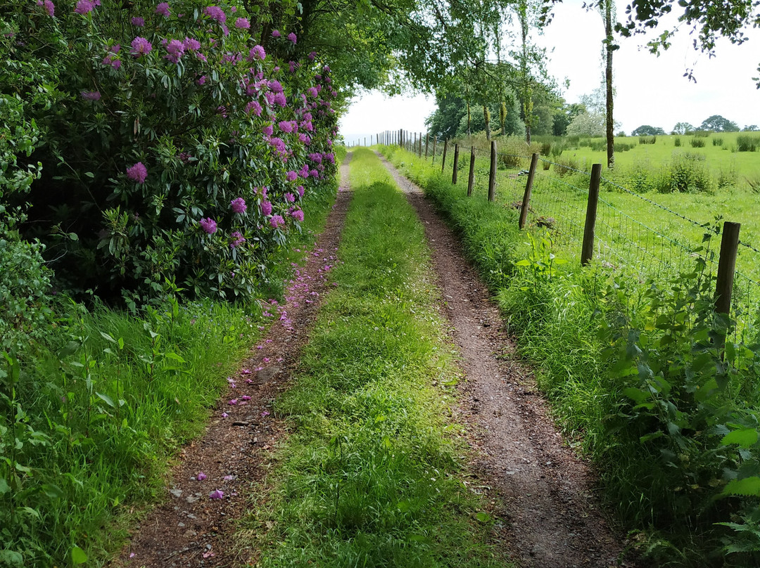 The Glynhir Estate主图