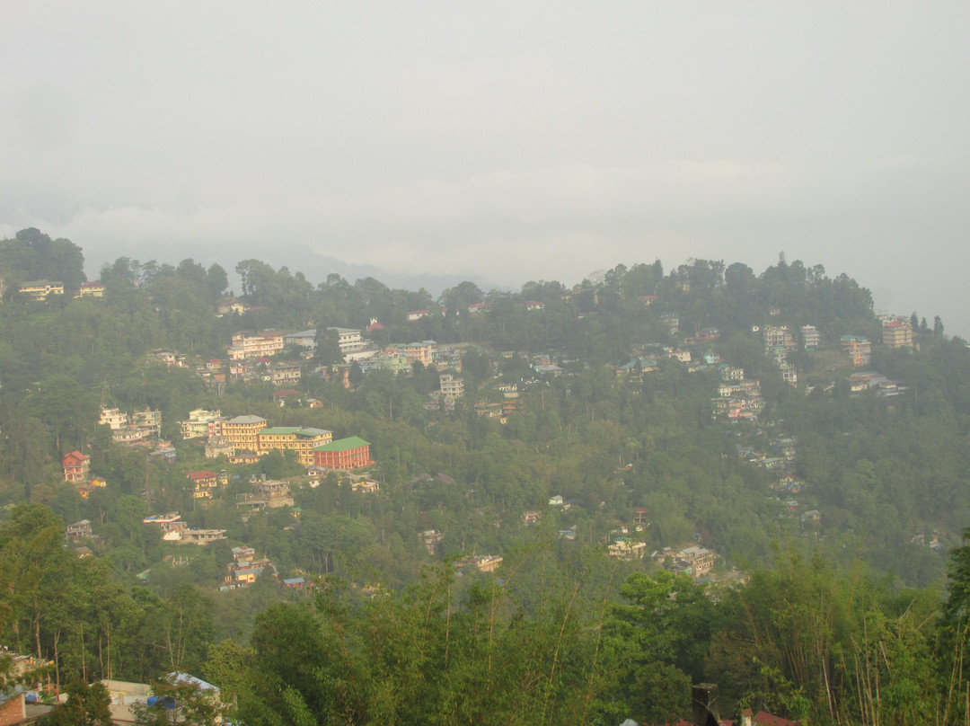 Hotel Aashiyana主图