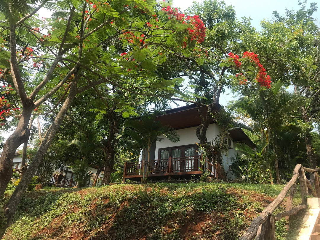 Mayura Hill Resort主图