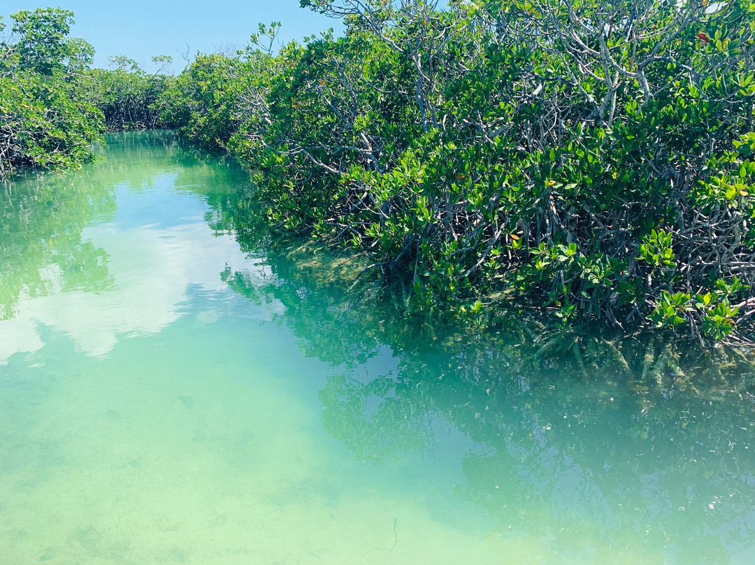 Zia Charters-基韦斯特必去景点